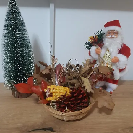 Apartment Ena Kraljevo